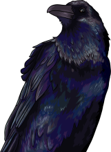 Raven image